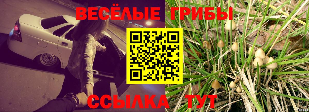 Галлюциногенные грибы ЛСД  закладка  Саяногорск  Псилоцибиновые грибы Magic Shrooms  Вход с VPN 